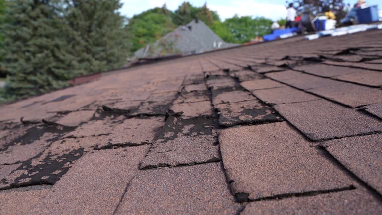 Best Roof Installation  in Espy, PA